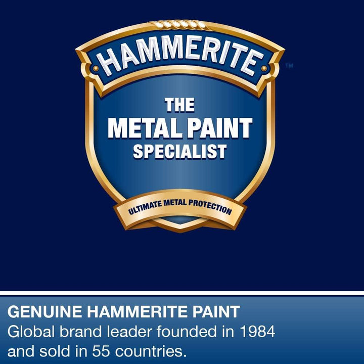 Hammerite Metal Paint 400ml Aerosal