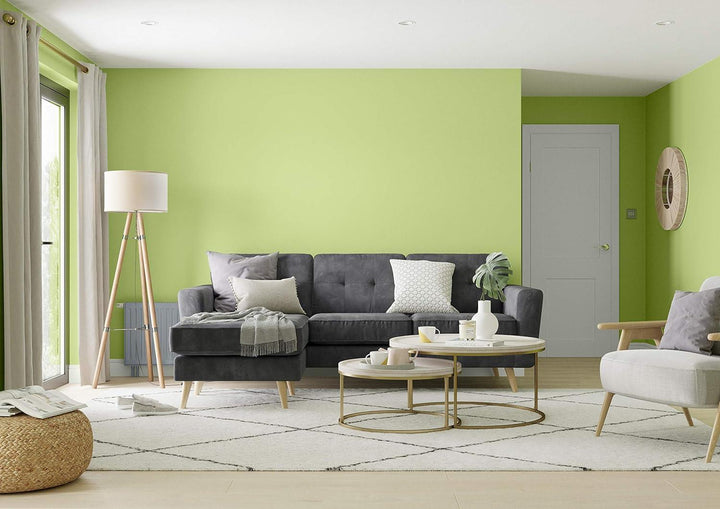 Dulux Silk 2.5L Extra Colours