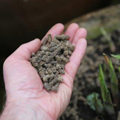 Vitax Slug Gone Wool Pellets
