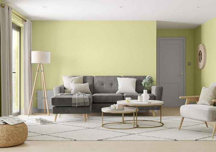 Dulux Silk 2.5L Extra Colours