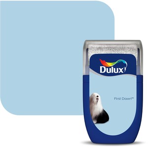 Dulux Colour Matt Tester