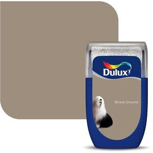 Dulux Colour Matt Tester