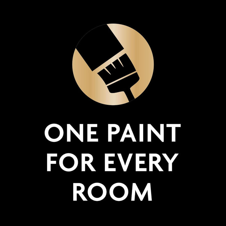 Ronseal One Coat Everywhere Matt Paint