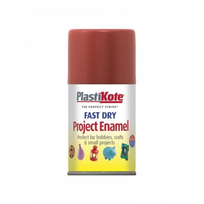 Plastikote Fast Dry Enamel Aerosol paint 100ml