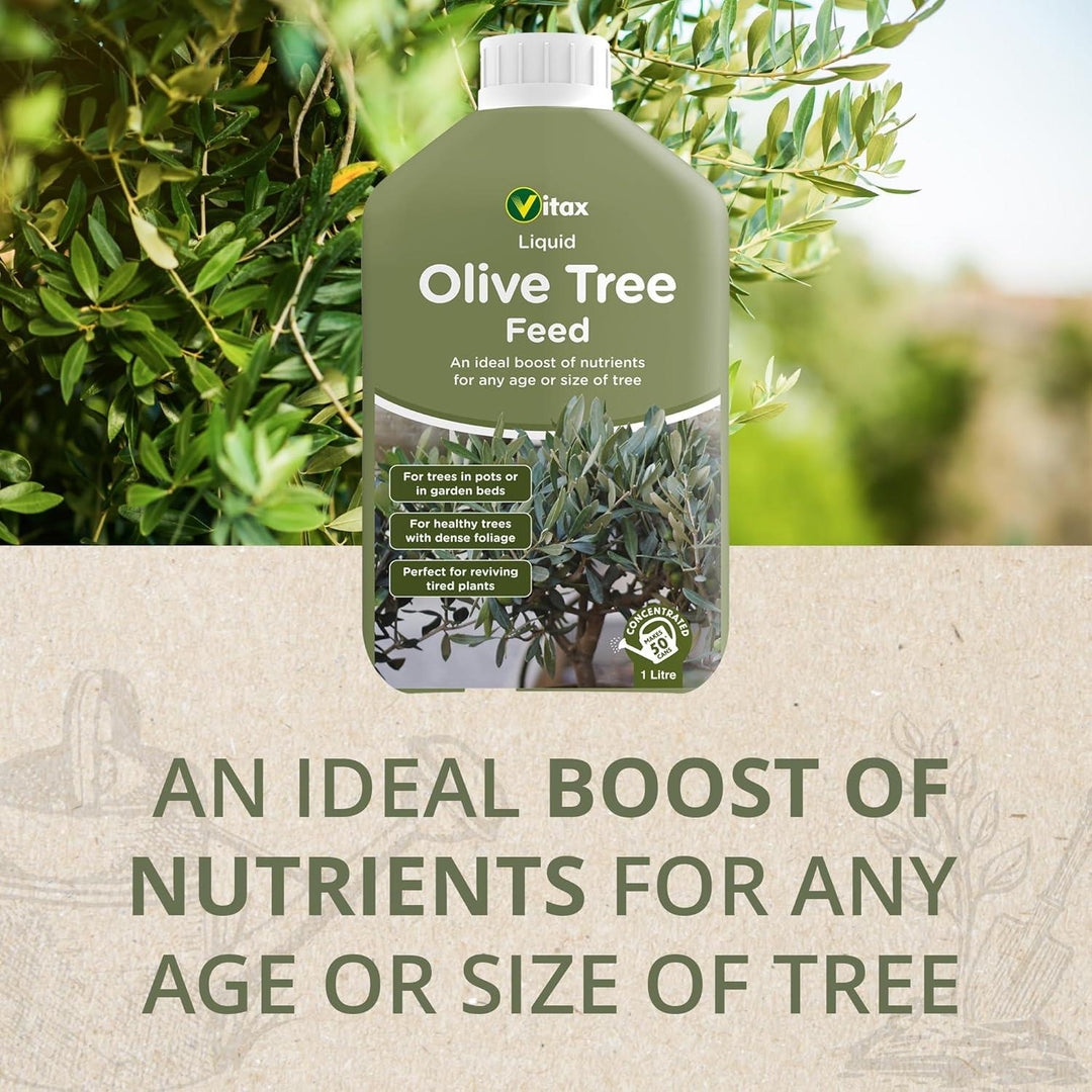 Vitax Olive Tree Liquid Feed 1L