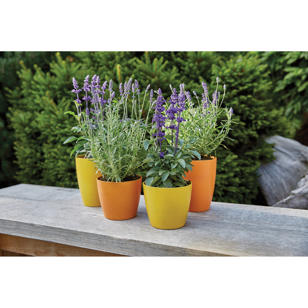 Ronseal Garden Paints