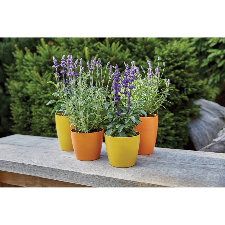 Ronseal Garden Paints