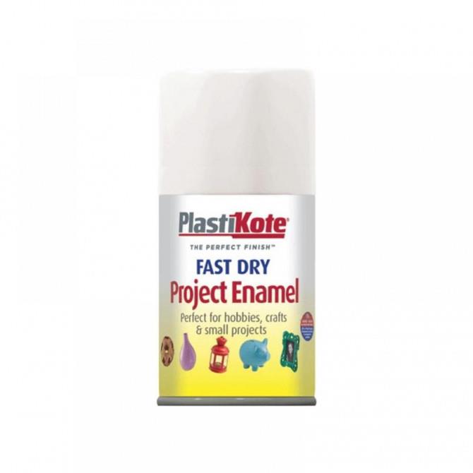 Plastikote Fast Dry Enamel Aerosol paint 100ml