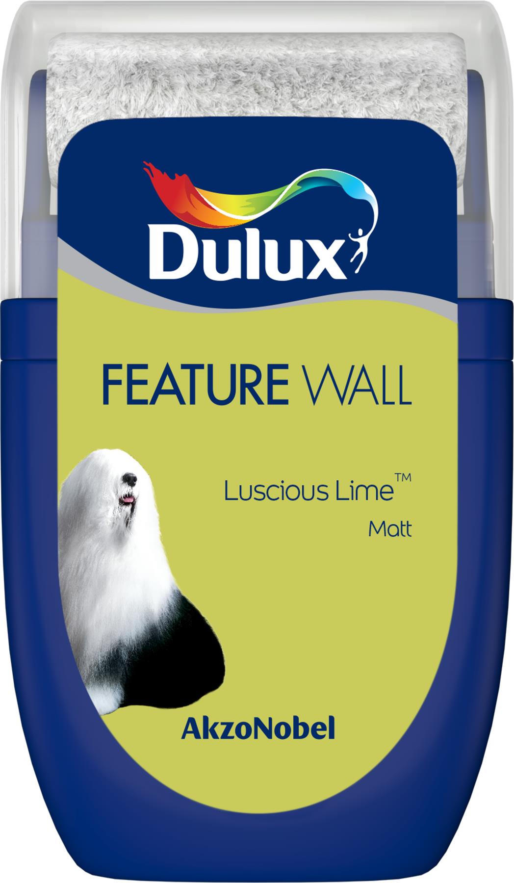 Dulux Feature Wall Matt Tester