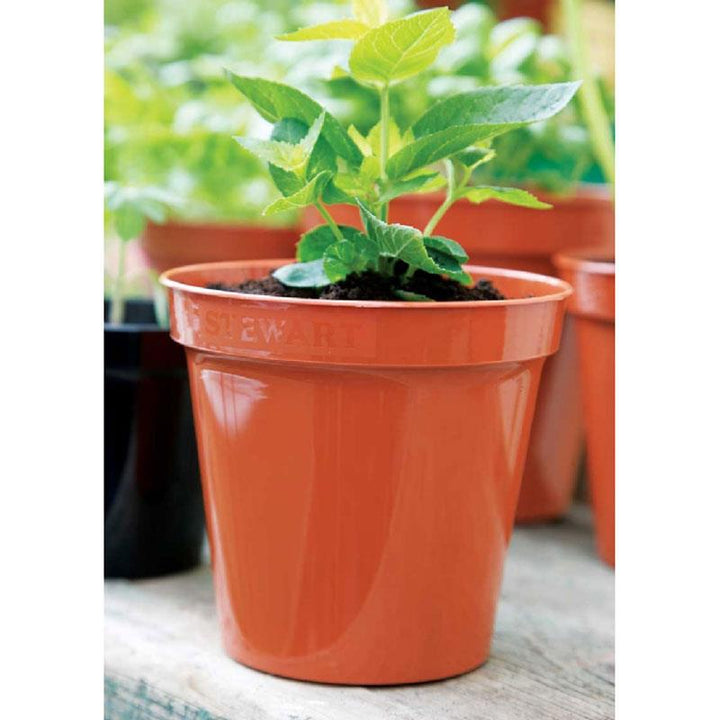 Stewart 10" Flower Pot