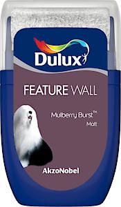 Dulux Feature Wall Matt Tester